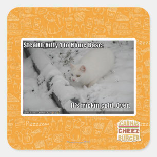 Sticker Carré Stealth Kitty 1