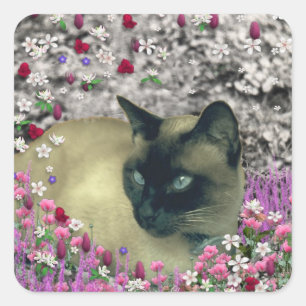 Sticker Carré Stella en Fleurs I - Crème de chocolat Chat Siames