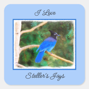 Sticker Carré Steller's Jay Painting - Art original pour oiseaux