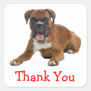 Sticker Carré Stick de salutation Merci Boxer Chien Chien Chien