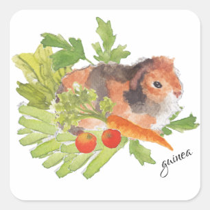 Sticker Carré Sticule d'aquarelle de salade de carottes en pois