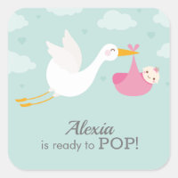 Stork Clouds Girl Baby shower Bundle