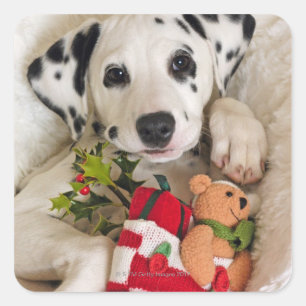 Sticker Carré studio