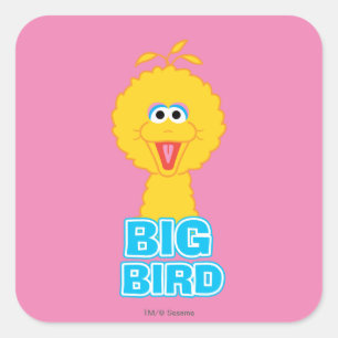 Sticker Carré Style Classique Big Bird