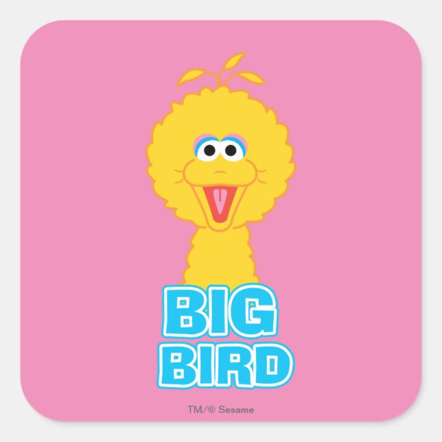 Sticker Carré Style Classique Big Bird (Devant)