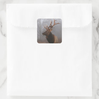 Sticker Carré Stylish and Elegant Christmas Elk