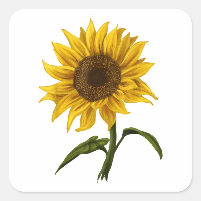 Sticker Carré Sunflower Sunshine Floral Aquarelle Fleur (Devant)