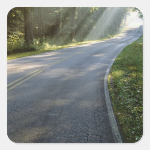 Sticker Carré Sunrise à travers le brouillard le long de Green 