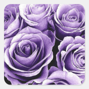Sticker Carré SUNSET PURPLE Rose - Mariage Enveloppe Sceau