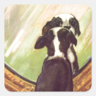 Sticker Carré Super Sweet Vintage Baby Boston Terrier