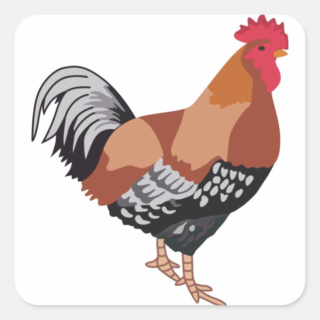 STICKER CARRÉ SUSSEX SPECKÉ (Devant)