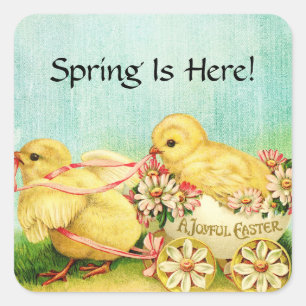 Sticker Carré Sweet Baby Chicks Pâques Vintage Ajouter du texte