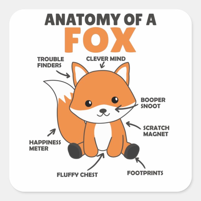 Sticker Carré Sweet Fox Explication Anatomie De Fox (Devant)