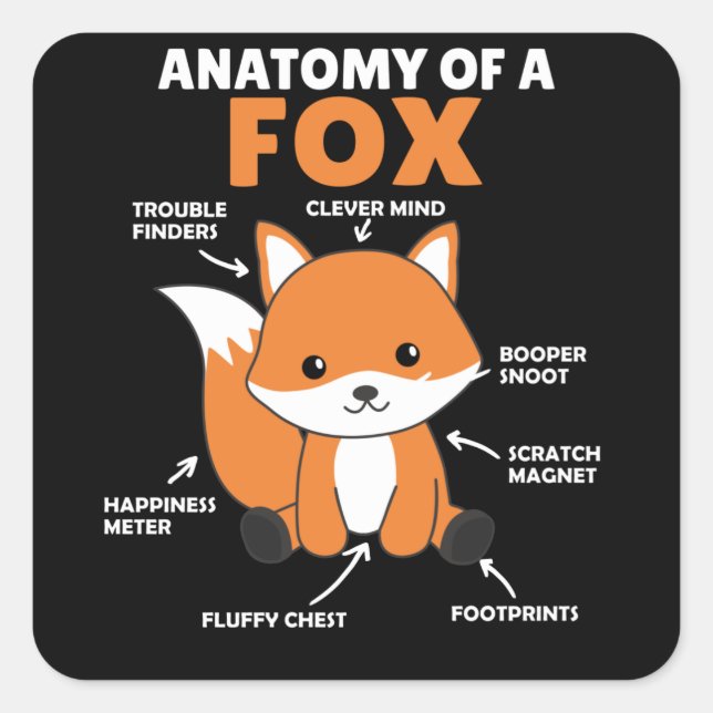 Sticker Carré Sweet Fox Explication Anatomie De Fox (Devant)