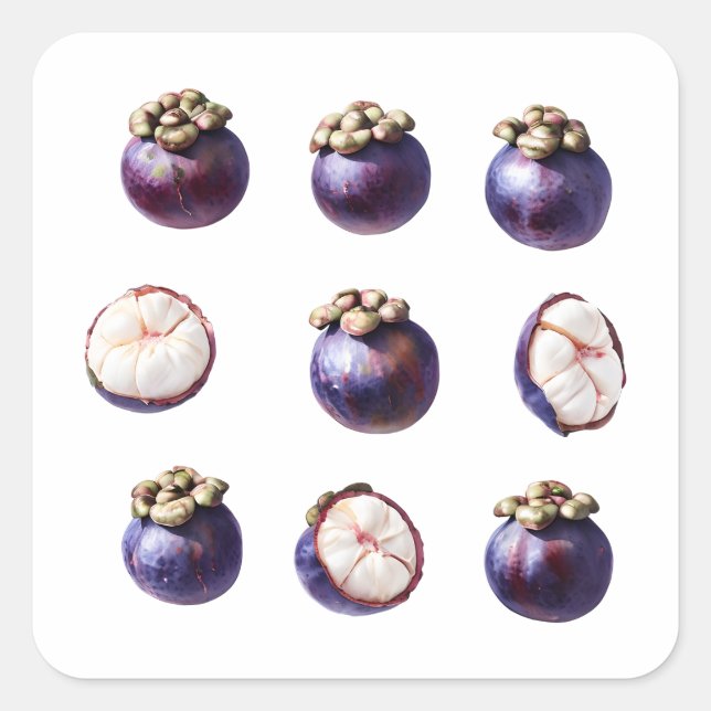 Sticker Carré Sweet Mangosteen Tropical Fruit (Devant)