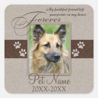 Sticker Carré Sympathie pour animal de compagnie