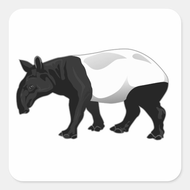 Sticker Carré Tapir noir et blanc (Devant)