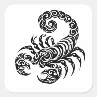Sticker Carré tatouage tribal scorpion