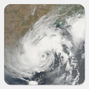 Sticker Carré Tempête tropicale Bijli