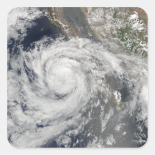 Sticker Carré Tempête tropicale Emilia