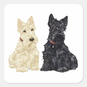 Sticker Carré Terriers écossais roux et noirs
