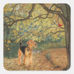 Sticker Carré Tervueren Airedale en observation d'oiseaux