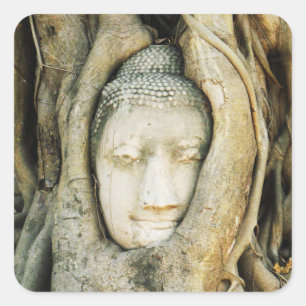 Sticker Carré Tête de Bouddha dans le Fig Tree .. Ayutthaya, Tha