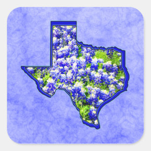 STICKER CARRÉ TEXAS BLUEBONNETS
