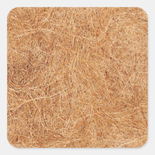 Sticker Carré texture de coco