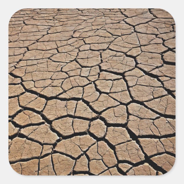 Sticker Carré Texture du désert (Devant)