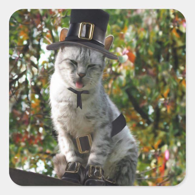 Sticker Carré Thanksgiving Pilgrim Cat (Devant)
