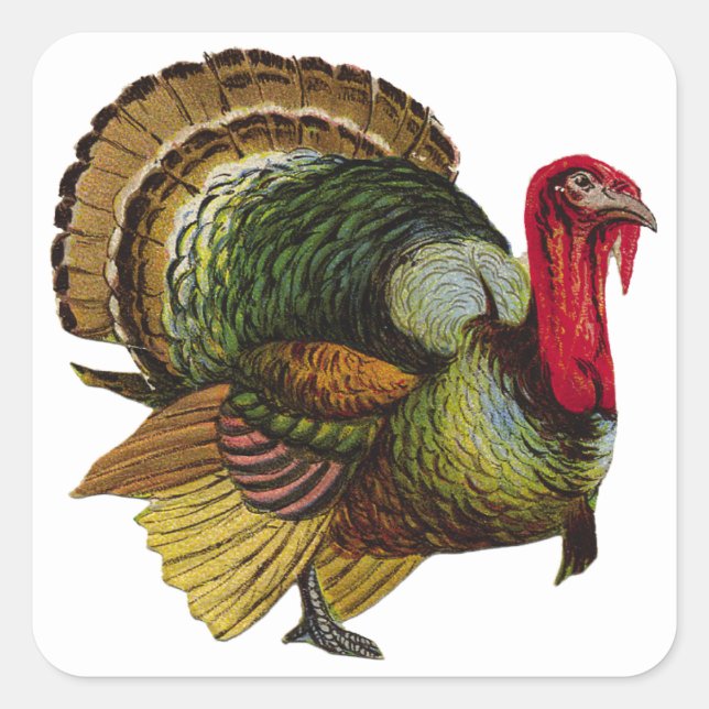 Sticker Carré Thanksgiving Turquie (Devant)