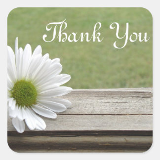 Sticker Carré Thème Daisy