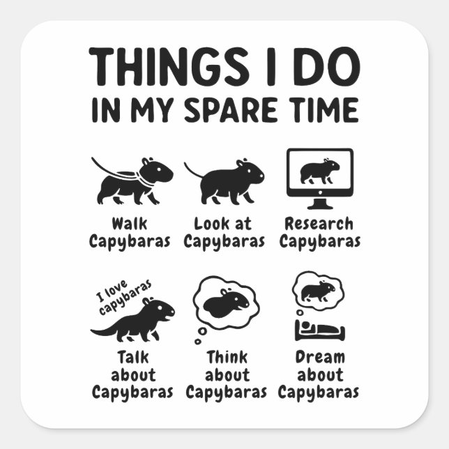 Sticker Carré Things I Do In My Spare Time Capybara Funny Pet (Devant)