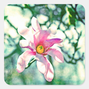 Sticker Carré Tiffany Magnolia
