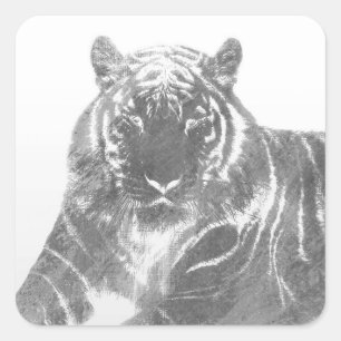 Sticker Carré Tigre noir et blanc