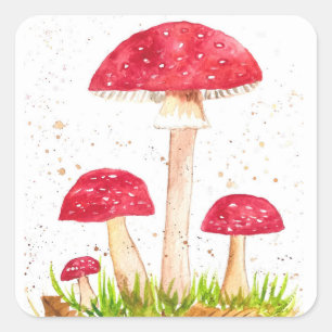 Sticker Carré Toadstool Champignons Forêt aquarelle Rouge Nature