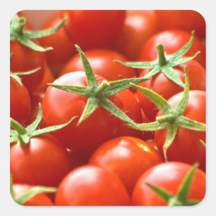 Sticker Carré Tomates cerise fraîchement sélectionnées