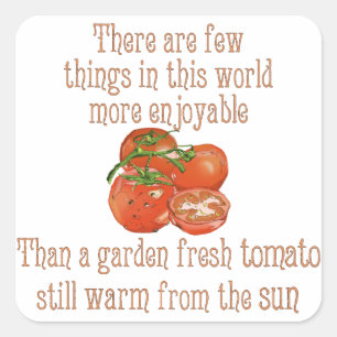 Sticker Carré Tomates chauffées au soleil