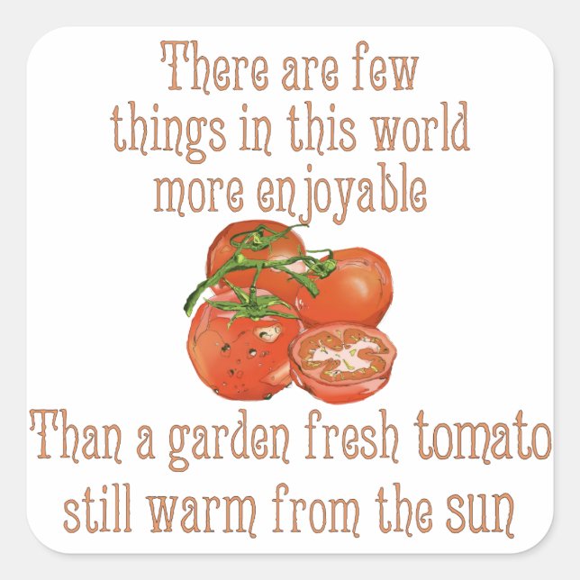 Sticker Carré Tomates chauffées au soleil (Devant)