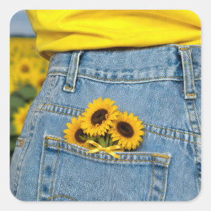 Sticker Carré Tournesols jaunes dans une poche de jeans bleus