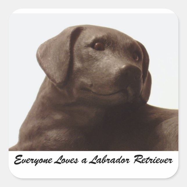 Sticker Carré Tout le monde aime un Labrador Retriever (Devant)