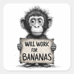 Sticker Carré Travaillera pour des Bananes - Croquis humoristiqu