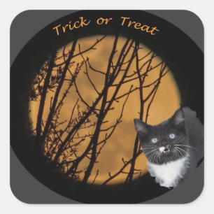 Sticker Carré Tricoter ou traiter chat noir & lune Halloween