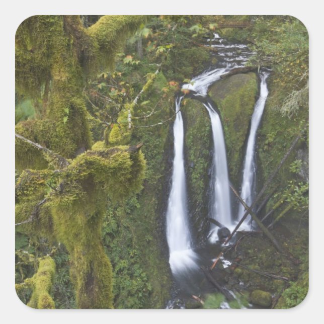 Sticker Carré Triple Falls, gorge de Columbia (Devant)