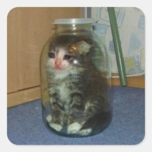 Sticker Carré triste chat dans le pot