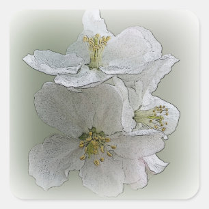 Sticker Carré trois fleurs blanches