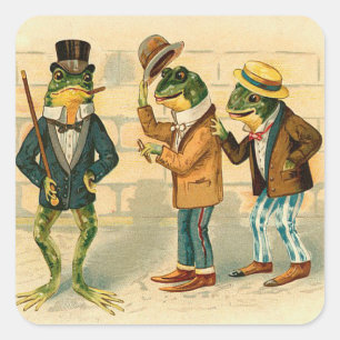 Sticker Carré Trois grenouilles drôles