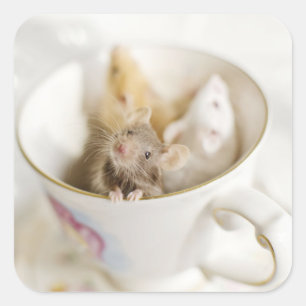 Sticker Carré Trois petites souris