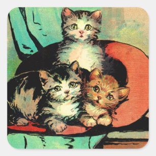 Sticker Carré trois petits chatons